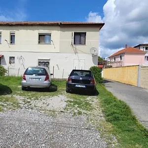 Daire Tuana's, Shkodër